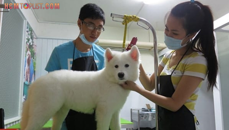 benh-vien-thu-y-hcmtoplist