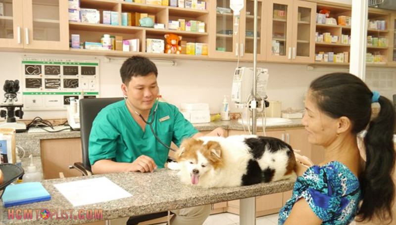 new-pet-hospital-hcmtoplist