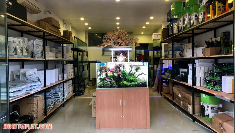 thien-duong-ca-canh-cua-hang-phu-kien-ho-ca-chat-luong-hcmtoplist