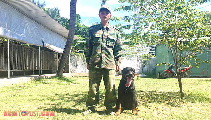 trung-tam-huan-luyen-cho-trung-duc-hcmtoplist