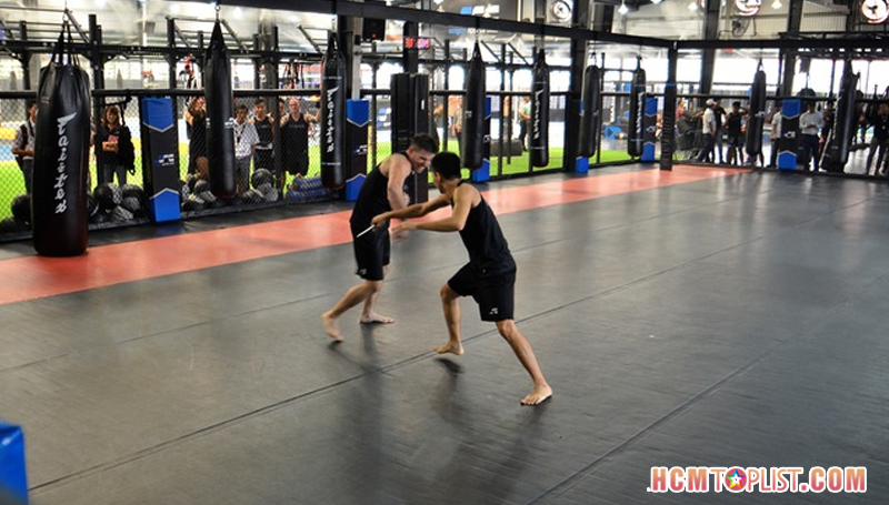 lop-hoc-cua-vo-su-stephan-davidson-hcmtoplist