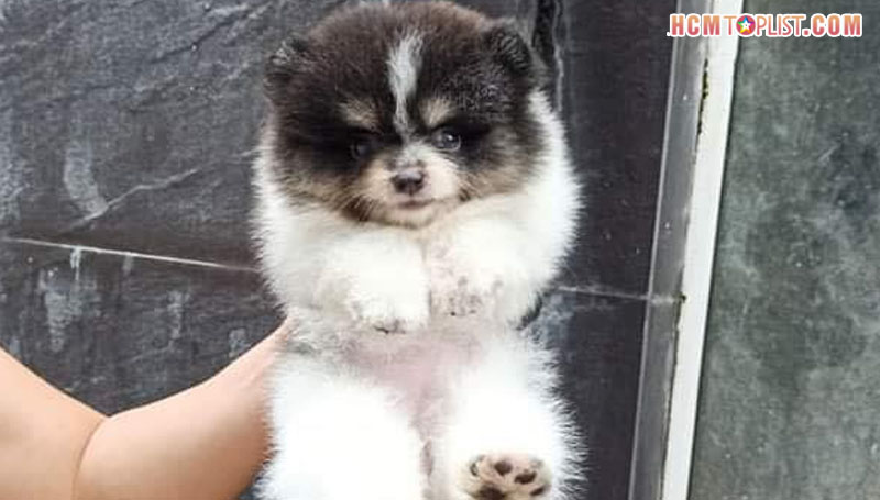 thu-kieng-hcmtoplist