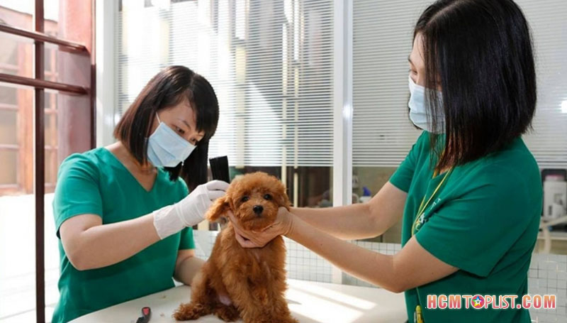 benh-vien-thu-y-petpro-hcmtoplist