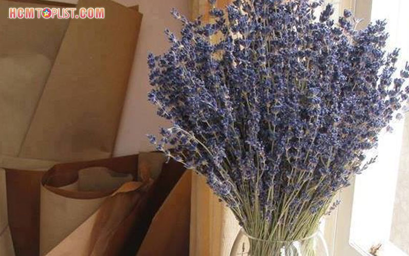 cua-hang-lovely-shop-hoa-kho-ga-re-tphcm-dep-hcmtoplist