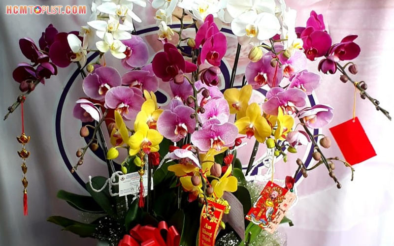 the-emotion-flower-hcmtoplist