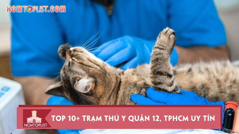 top-10-tram-thu-y-quan-12-tphcm-uy-tin-chat-luong-nhat