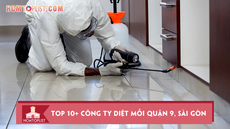 diem-danh-top-10-cong-ty-diet-moi-quan-9-an-toan