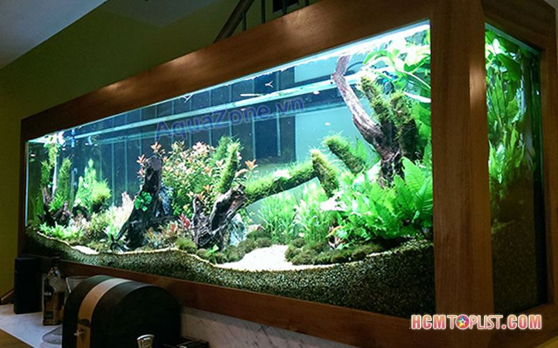 ngoi-sao-sai-gon-hcmtoplist