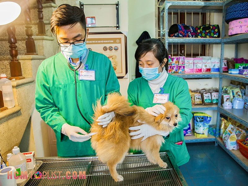 phong-kham-thu-y-lu-gia-hcmtoplist