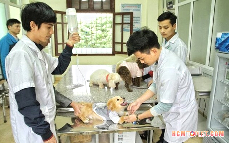 happy-pets-hcmtoplist