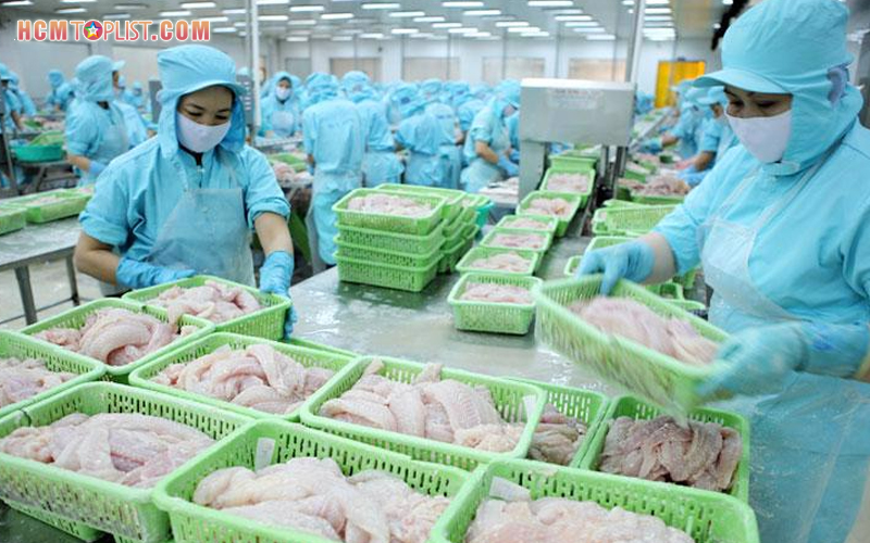 lich-su-hinh-thanh-cong-ty-co-phan-xuat-nhap-khau-thuy-san-sai-