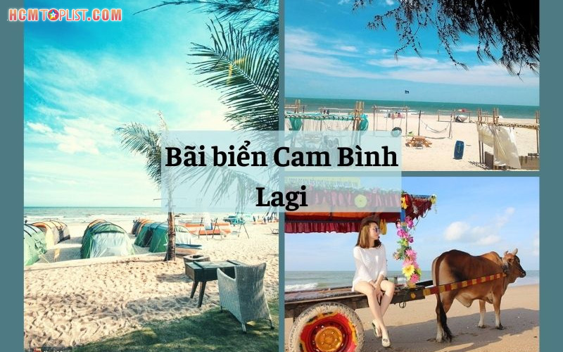 bai-bien-cam-binh-lagi-hcmtoplist