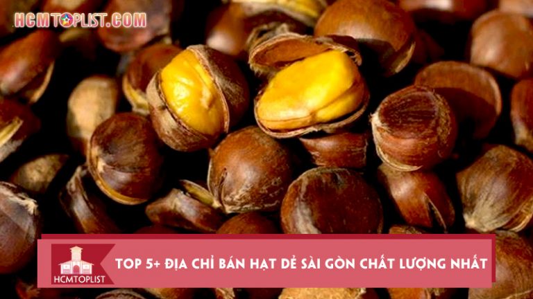 tong-hop-top-5-dia-chi-ban-hat-de-sai-gon-chat-luong-nhat