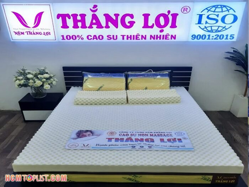 cac-san-pham-tieu-bieu-tai-kho-nem-thang-loi-hcmtoplist-1