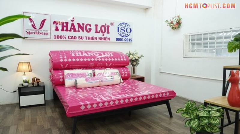 cac-san-pham-tieu-bieu-tai-kho-nem-thang-loi-hcmtoplist