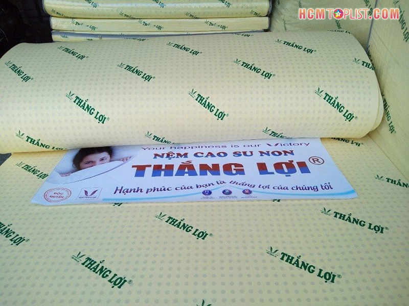 kho-nem-thang-loi-ban-hang-chinh-hang-uy-tin-hcmtoplist