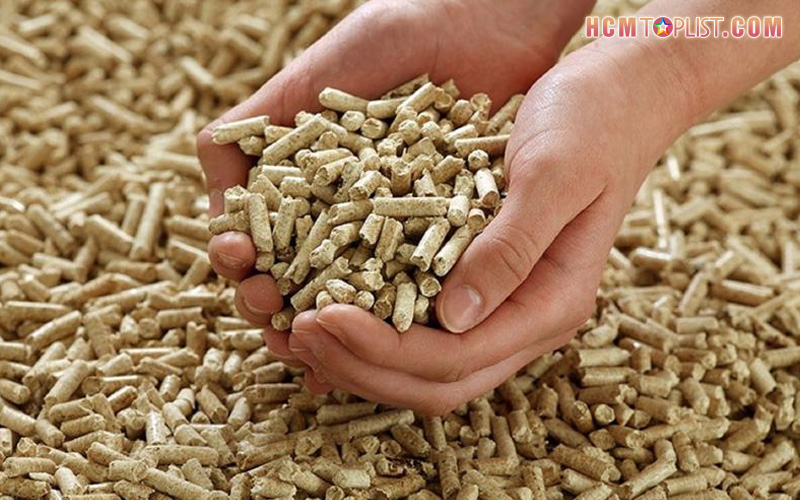 vien-nen-go-co-dac-tinh-gi-hcmtoplist