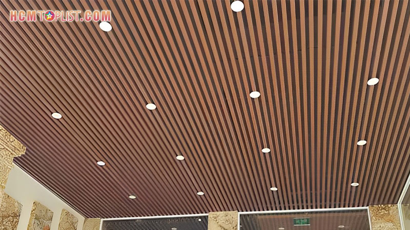 gioi-thieu-ve-lam-song-ngoai-troi-hcmtoplist