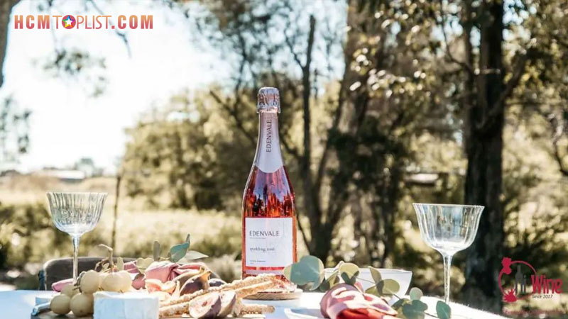 cac-loai-ruou-vang-nhap-khau-chinh-hang-tai-hiwine-hcmtoplist-1