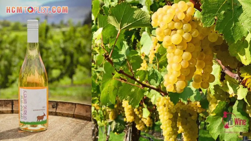 chat-luong-dich-vu-duoc-hiwine-uu-tien-hcmtoplist