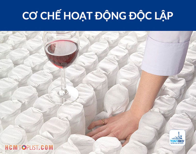 co-che-hoat-dong-doc-lap-suc-hut-den-tu-su-khac-biet-hcmtoplist