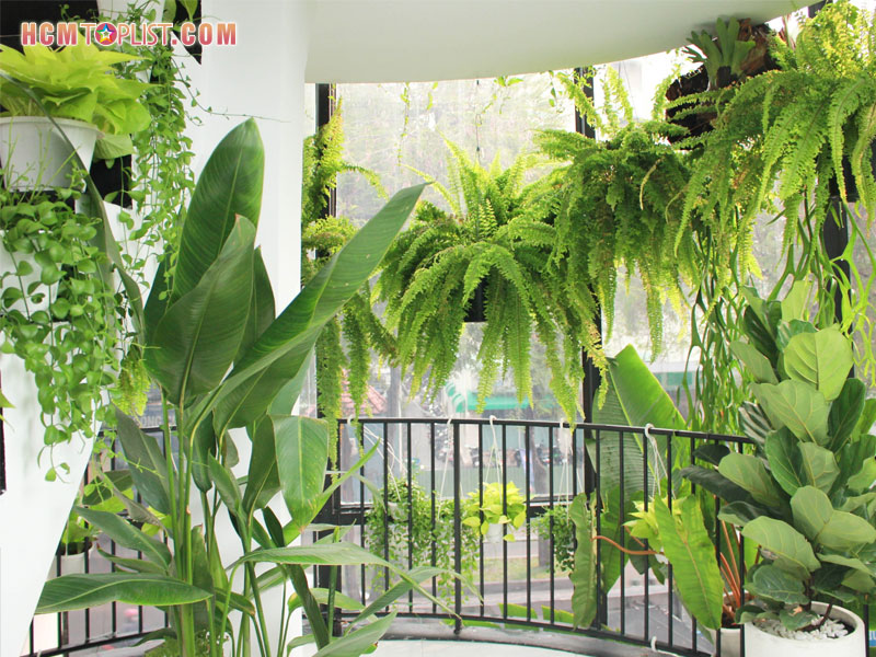 khong-gian-thuong-thuc-ca-phe-cuc-ca-tinh-tai-xliii-coffee-hcmtoplist