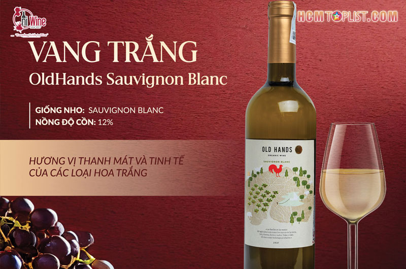 nhung-dong-ruou-vang-cao-cap-tai-hiwine-hcmtoplist