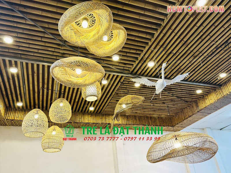 mot-so-cau-hoi-thuong-gap-ve-tre-la-dat-thanh-hcmtoplist-1