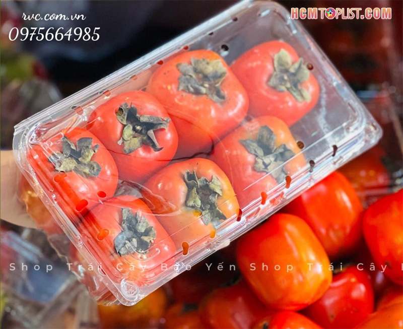 vay-tai-sao-hop-nhua-dung-hoa-qua-nha-rvc-lai-duoc-ua-chuong-den-vay