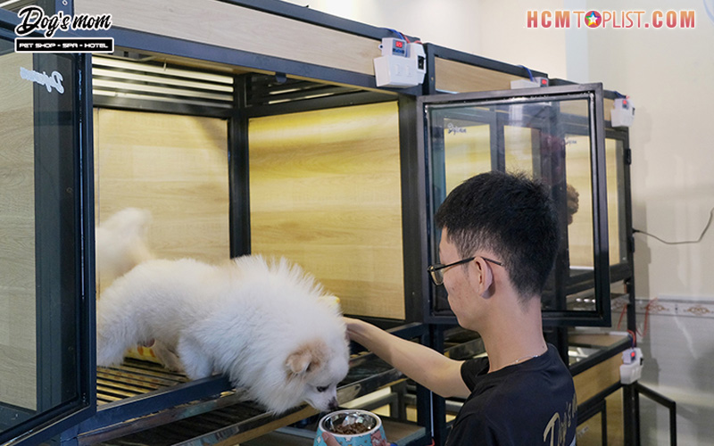 dog-s-mom-hcmtoplist