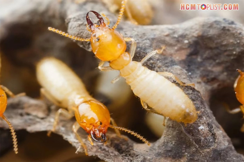 Nhung-nguy-hai-do-moi-gay-ra-co-that-su-nghiem-trong-1jpg